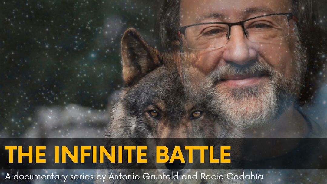 grunfeld the infinite battle web 2