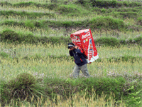 red_fridge-01 red_fridge-01